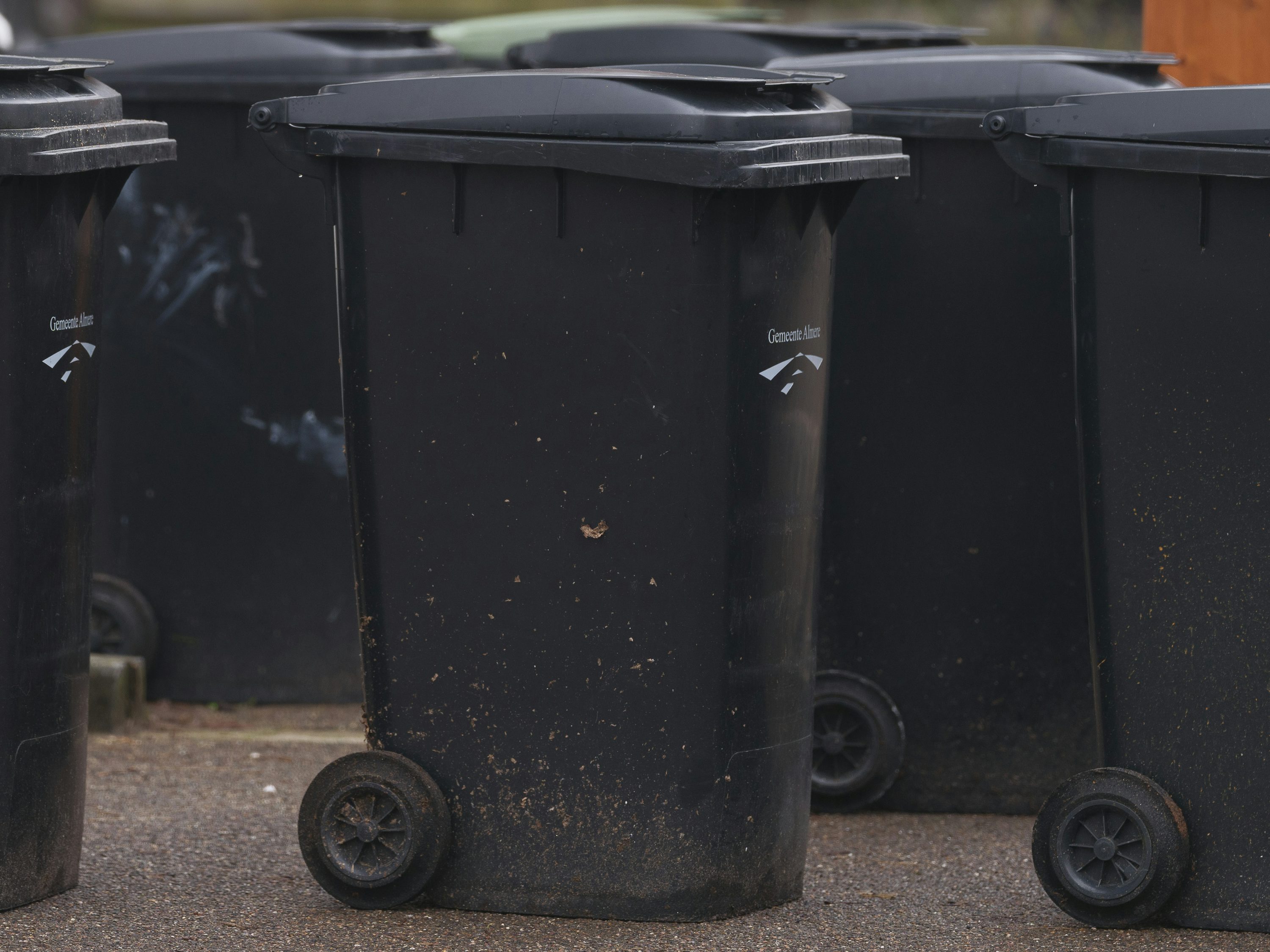 A row of actual outdoor wheelie bins, illustrating a wheelie-bin cleaning service